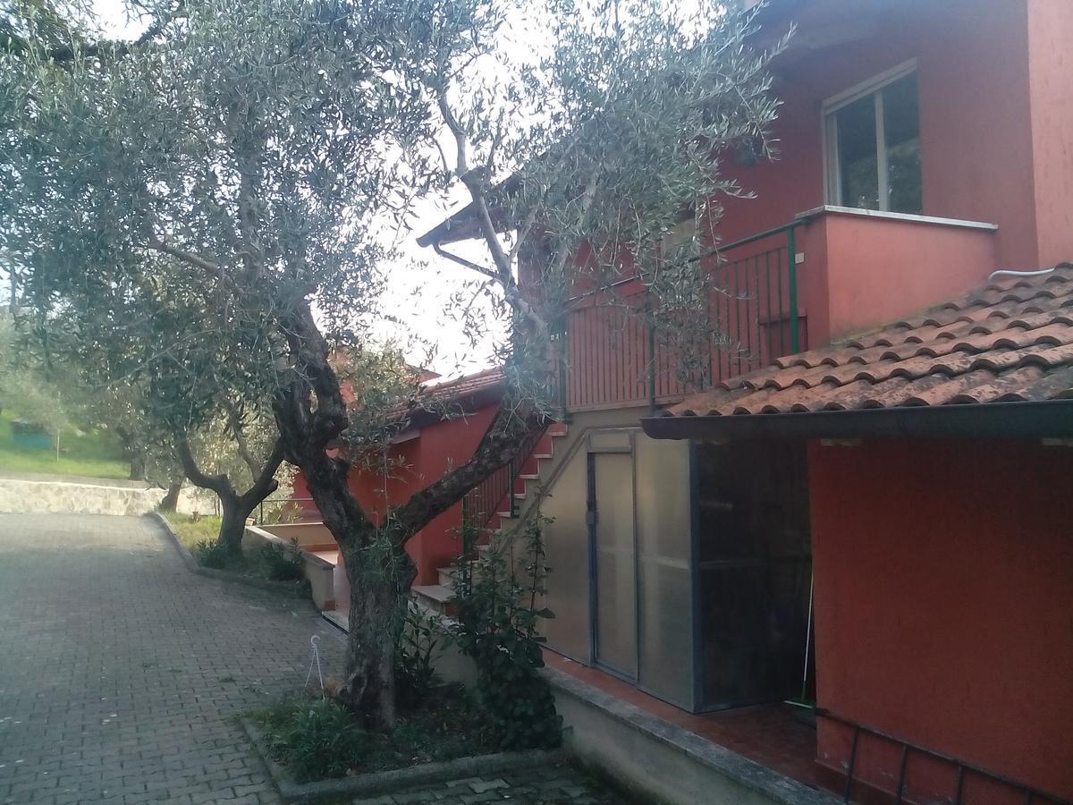 Genius Apartments San Savino  Exterior photo